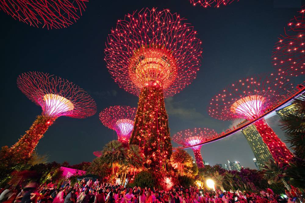 SUPERTREE GROVE in Gardens by the Bay